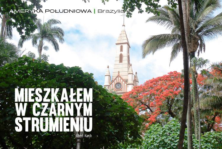 Losowy darmowy artykuł